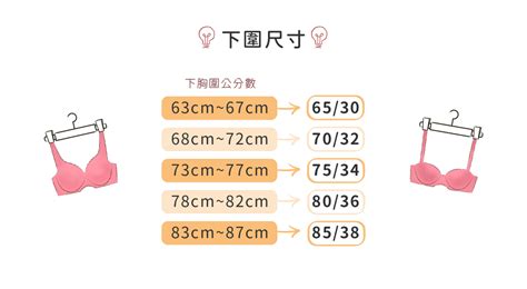 胸圍數字意思|內衣尺寸怎麼量？學會胸罩尺寸表換算，輕鬆對照無負擔